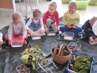 biblioteka lesne duszki 2017