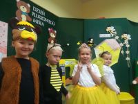 dzin misia przedszkole 2018