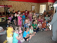 fikoland 2013