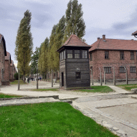 oswiecim wycieczka 2020