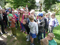 przedszk stroze 2014