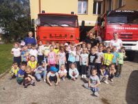 straz 2019
